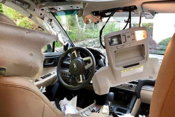 Мечка се качи в колата на американка в град Кантон, щата Кънектикът, и направи салона й на пух и прах, съобщиха местните медии. Инцидентът с