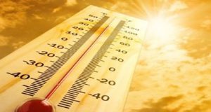 В горещо време, феновете на слънчевия загар са изложени на риск от слънчев удар. Но, за да се случи това, те трябва часове наред да не бъдат