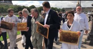 пчелари