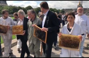 пчелари