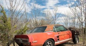 Ford