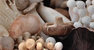 Mushrooms