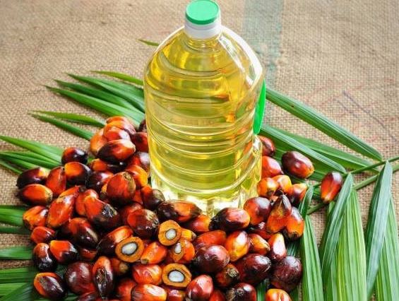 палмово масло
