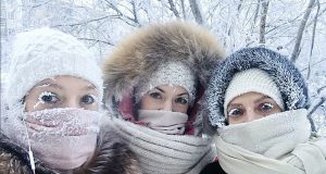 -50 градуса