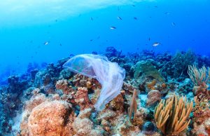 отпадъци, океан, пластмаса