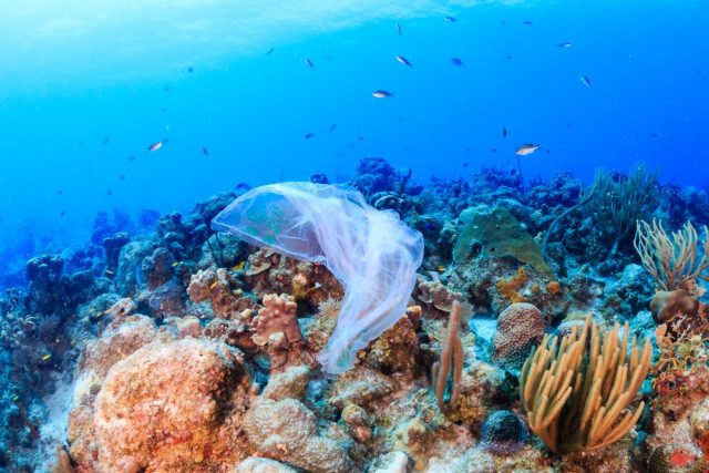 отпадъци, океан, пластмаса