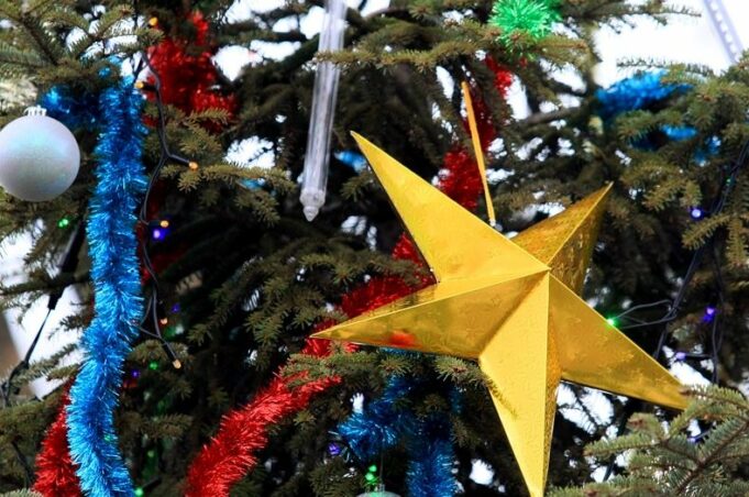 Коледни звезди за празничната украса