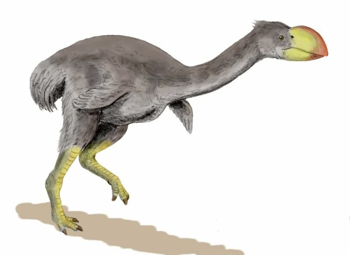 праисторическа птица
