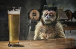 маймуна алкохол