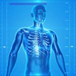 human-skeleton-163715_640