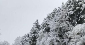 Сняг блокира пътищата