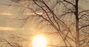 слънцето ще пробие мъглата