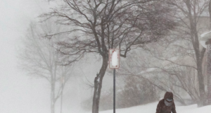 Снимката е илюстративна