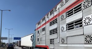 Капитан Андреево опашка