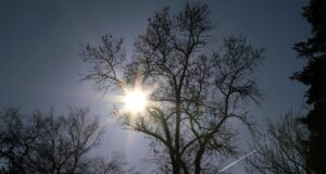 Прогноза за времето