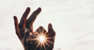 слънце слънчево слънцето