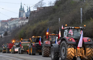 Германски, полски и чешки фермери протестираха срещу селскостопанската политика на ЕС