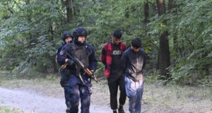 През изминалата година 196 души са потърсили убежище в Сърбия