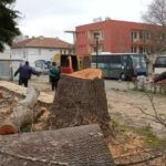 Санитарна сеч е започнала на територията на град Созопол, съобщиха