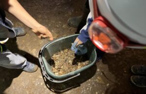 Инициаторите на почистването призовават посетителите да ги даряват за каузи
                                                                                                Деца от клуб за млади пещерняци в Дряново събират стотинки от пещерата "Бачо Киро", които вредят на обекта