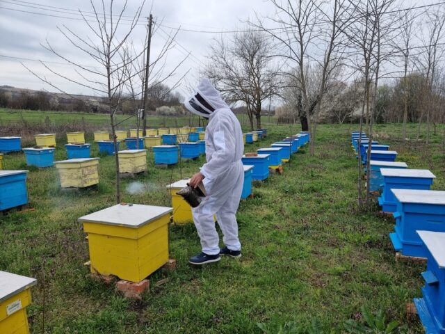 Крайният срок за предложения и коментари е 20 май
                                                                                                Изменения в интервенциите "Биологично растениевъдство" и "Биологично пчеларство" са публикувани за обществено обсъждане