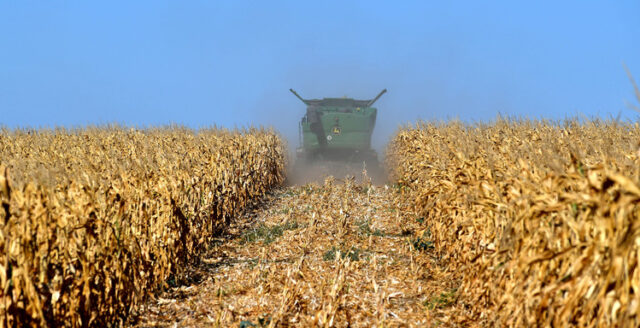 Минимални движения в цените на зърнените стоки на световните борси се наблюдават и през втората седмица на април