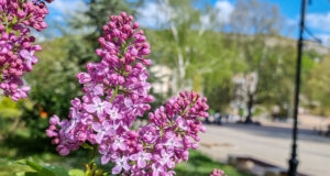 пролет, време
