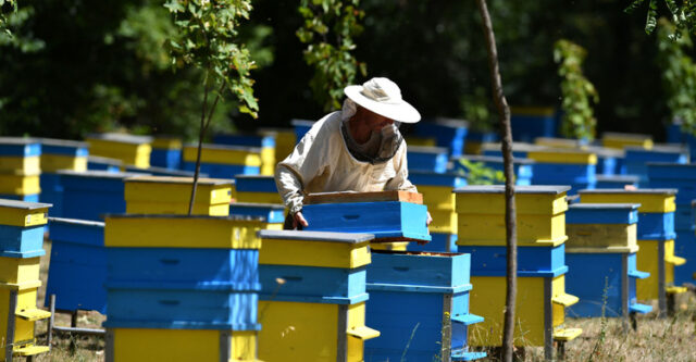 Първият международен форум за устойчиво пчеларство в Словения дава нов тласък на сътрудничеството в защита на опрашителите