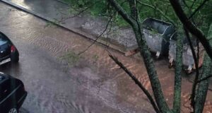 Сигнали за отводняване на къщи и улици и паднали дървета са получени в пожарната след бурята в Плевен