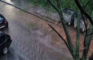 Сигнали за отводняване на къщи и улици и паднали дървета са получени в пожарната след бурята в Плевен