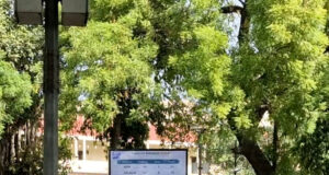 Кратка равносметка след обявяването на окончателните резултати от изборите за Лок Сабха
