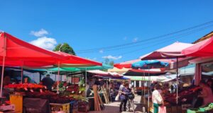 По данни на НСИ
                                                                                                ОБНОВЕНА През май за втори пореден месец в България е отчетена дефлация на месечна база