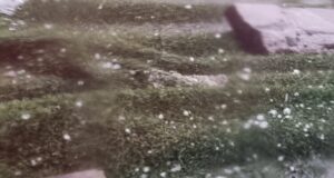 Силен дъжд с градушка наводни над 100 къщи в Тетово, в Скопие прекъсна за половин час и заседанието на парламента