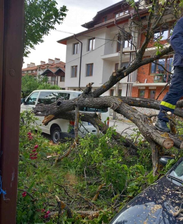 Щети в Банско след бурята.