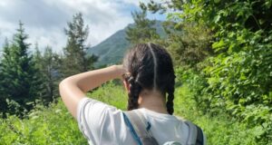 Условията за туризъм в планините са отлични, съобщиха от Планинската спасителна служба