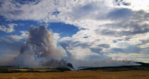 Земеделец е установен като виновник за големия пожар край свиленградското село Студена