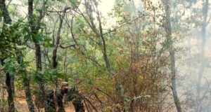 Обзор
                                                                                                Над 900 огнеборци се включиха в ликвидирането на 95 произшествия в страната, пожарите край Харманли, Отец Паисиево, Воден и Крайново са овладени