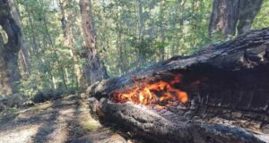 Продължава гасенето на пожара над село Фролош, община Кочериново