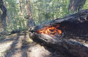 Продължава гасенето на пожара над село Фролош, община Кочериново