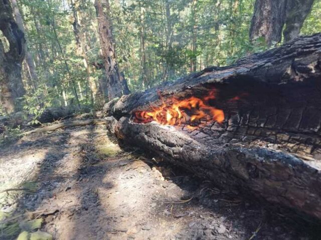 Продължава гасенето на пожара над село Фролош, община Кочериново