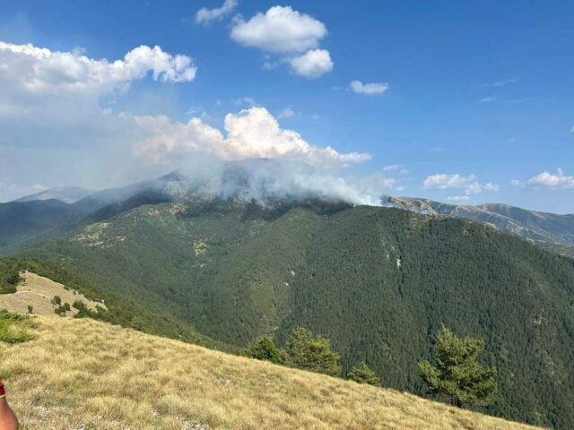 Пожар на границата с Гърция