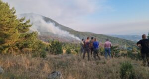 България е на второ място по горски пожари в Европа за 2024 година, сочи Европейската информационна система за горски пожари