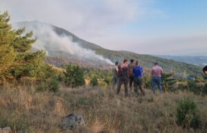 България е на второ място по горски пожари в Европа за 2024 година, сочи Европейската информационна система за горски пожари