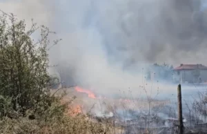 Снимка: haskovo.info