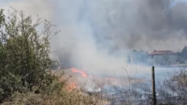 Снимка: haskovo.info