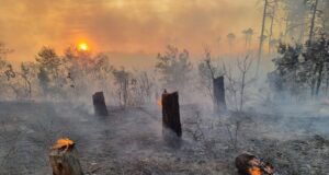 Доброволци се събират на пожара до село Каменар, за да не допуснат огънят да стигне до вилната зона