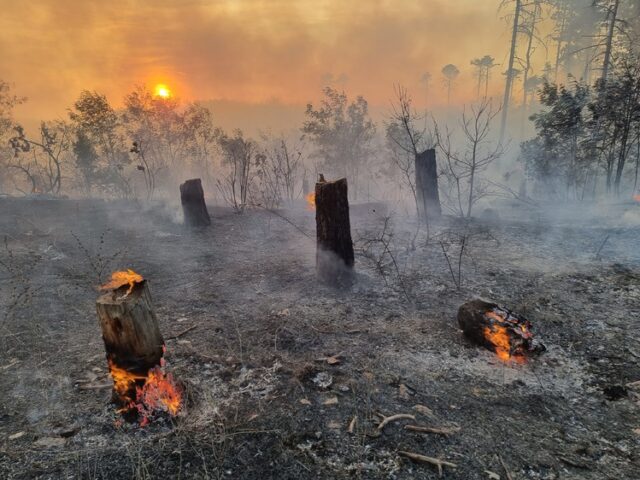 Доброволци се събират на пожара до село Каменар, за да не допуснат огънят да стигне до вилната зона