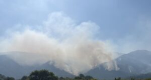 Пожар на ългаро-гръцката граница