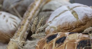 Кулинарното изложение "Мистичната вяра в хляба" е част от програмата на тазгодишните Празници в Долината на тракийските царе в Казанлък