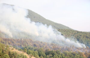 Локализиран е пожарът край село Елешница